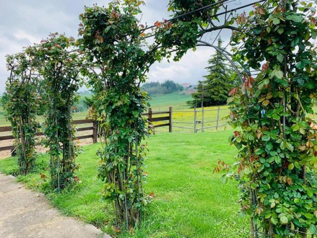 Agriturismo Cascina Smeralda Villa Pontestura Kültér fotó